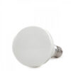 Bombilla LED E14 3W 240Lm 6000ºK 40.000H [HO-3WE14SMD2835-CW]