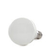 Bombilla LED E14 3W 240Lm 6000ºK 40.000H [HO-3WE14SMD2835-CW]