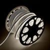 Tira LED Manguera "Neon Flex" 6W 6000ºK 220VAC 8x18mm Doble 120xSMD2835 6W/M x1M 40.000H  [HO-NSPVC8x16DOY220CW]