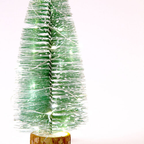 Adorno Navideño LED Interior  [HO-XMAS-069-IP20--WW]