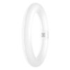 [LVE-4099854042447] Tubo LED T9 Ledvance G10q 11W 1200Lm 3000K 110º IP20